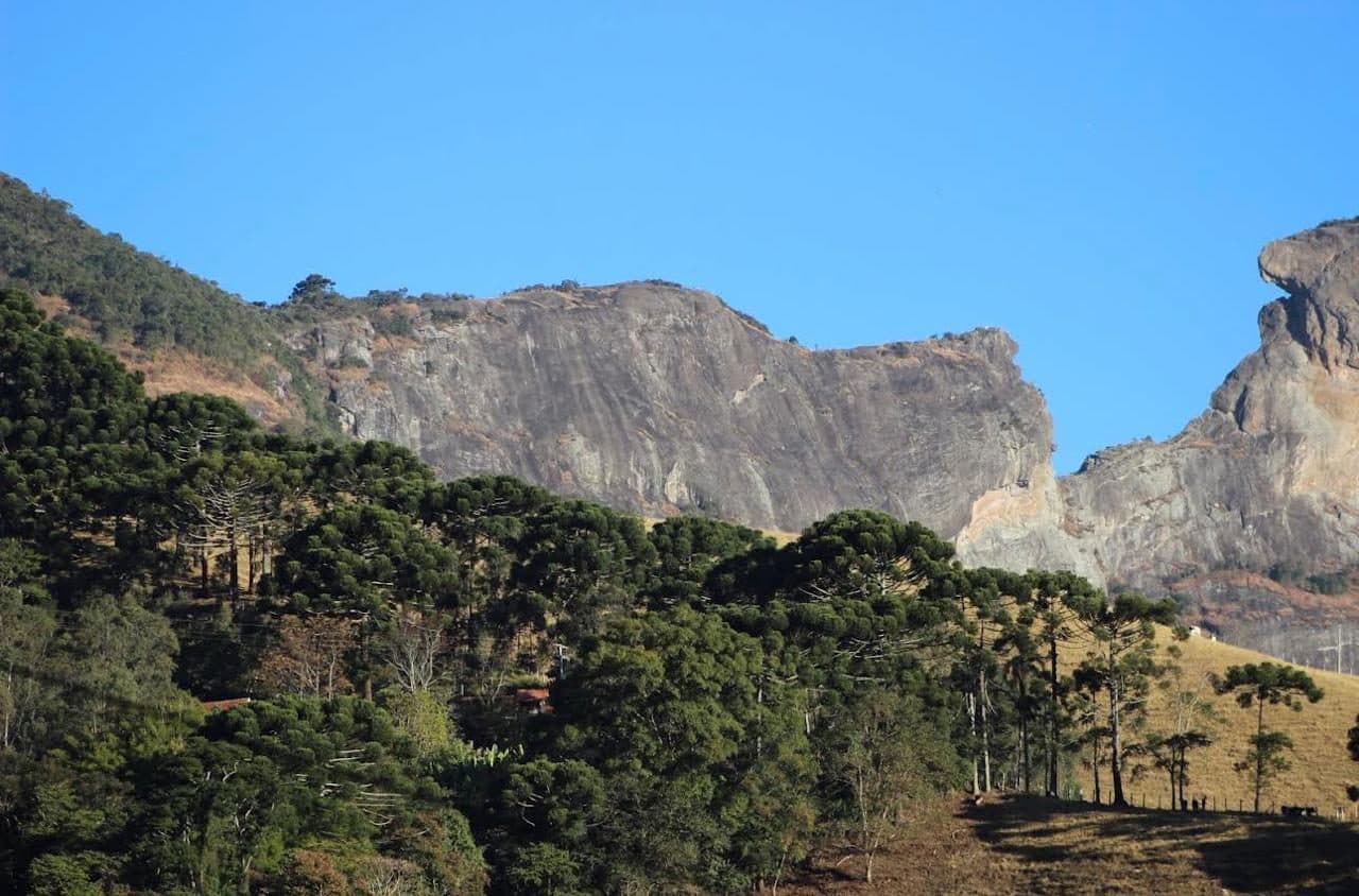 Bauzinho
