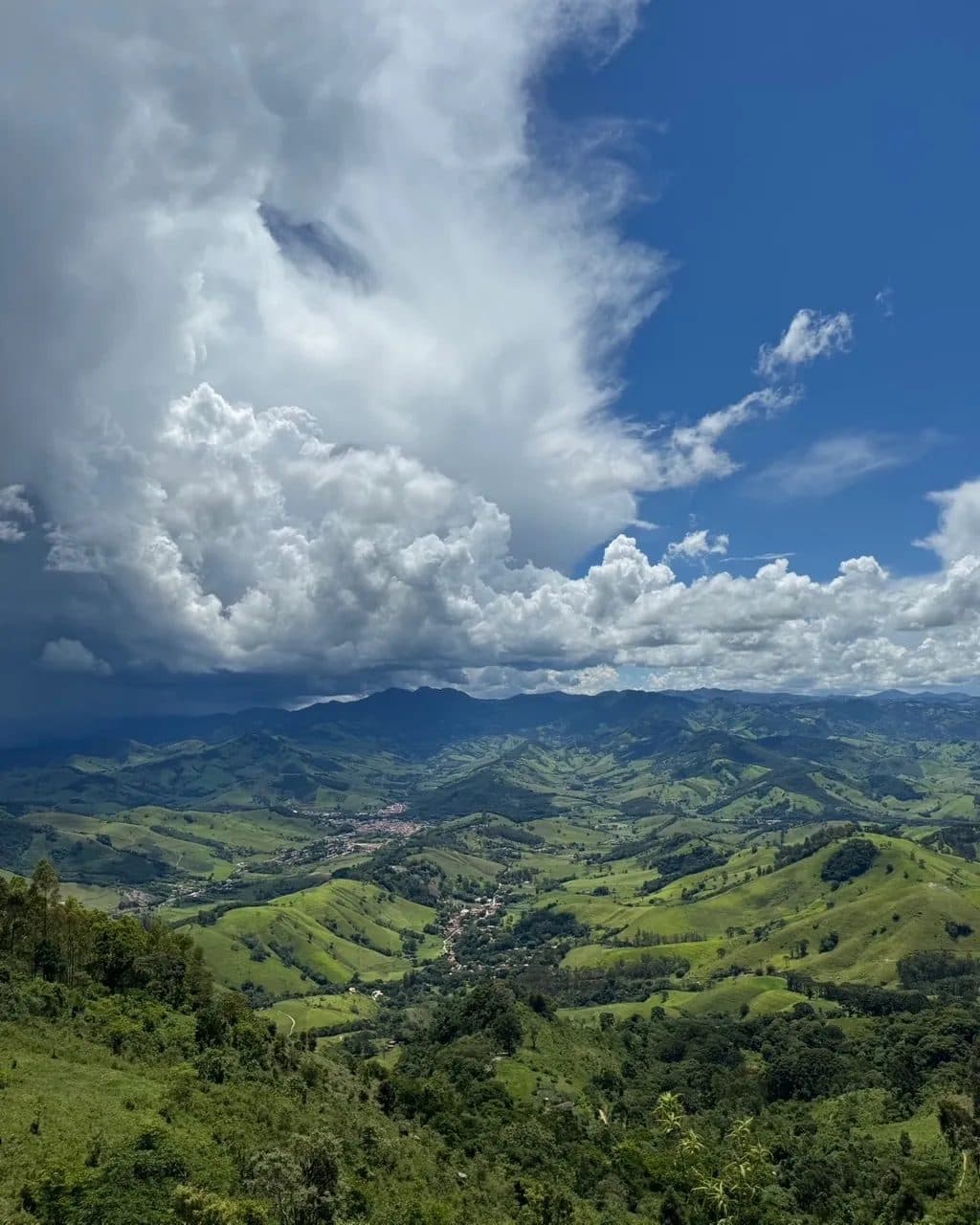 Vista