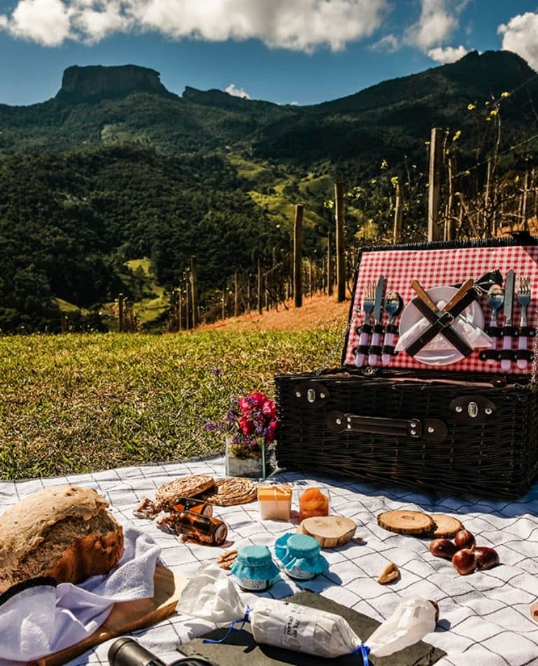 Picnic