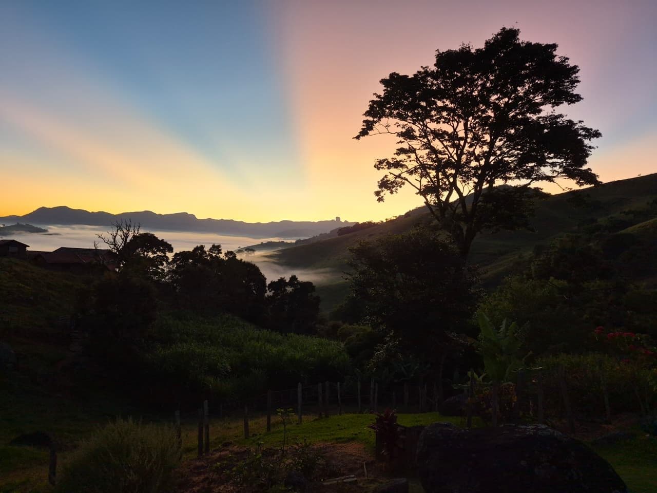 Vista