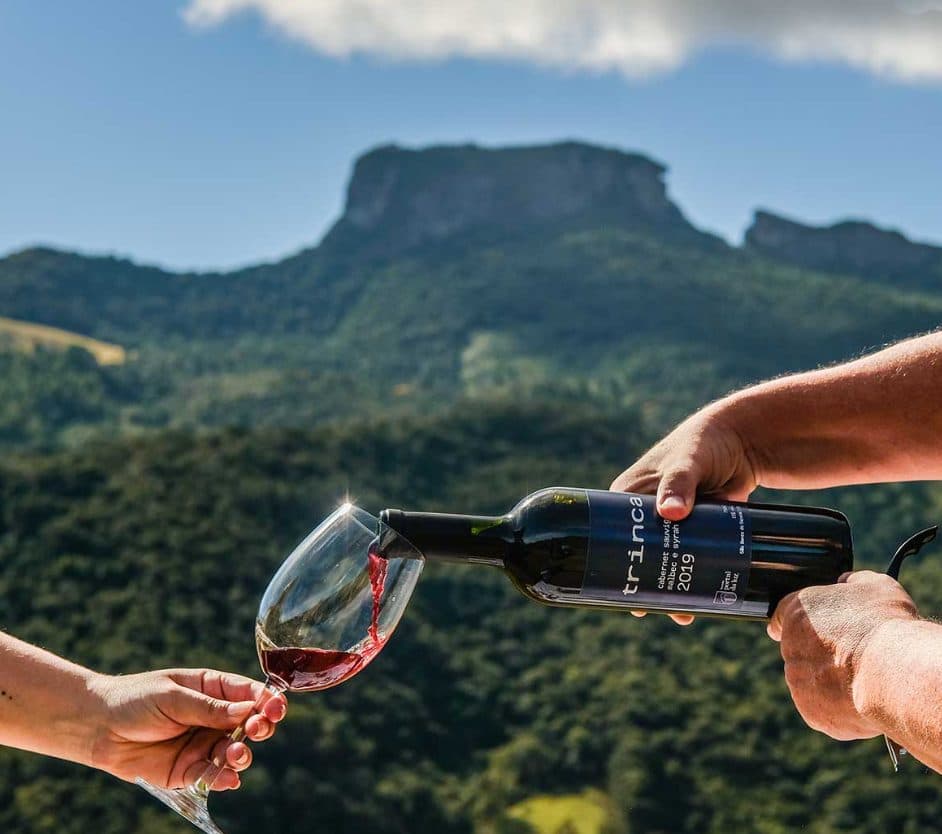 Degustação de vinho
